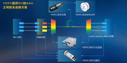 長飛公司攜手學術創新，共塑光纖通信新未來