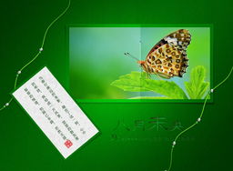 八月未央，致竹子1975 一場(chǎng)圖文設(shè)計(jì)的原創(chuàng)之約