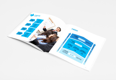 上海IDB企業(yè)管理咨詢宣傳冊設(shè)計(jì)