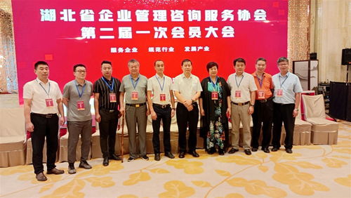 湖北省企業(yè)管理咨詢服務(wù)協(xié)會(huì)換屆,程鵬當(dāng)選為會(huì)長(zhǎng)